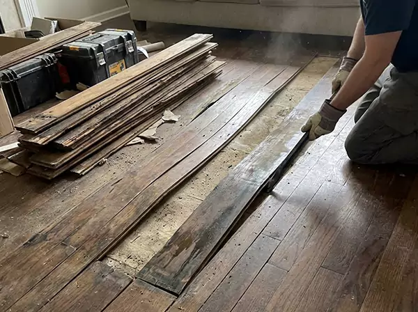 Water Damage Drying in Redan
