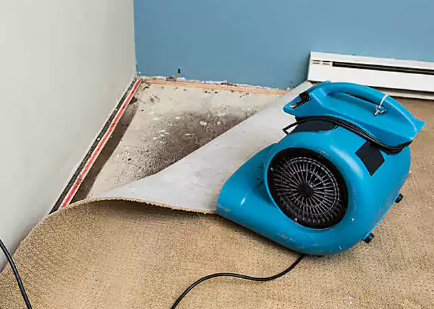 Your Water Damage Experts in Redan, GA