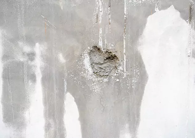 Your Mold Mitigation Solutions Partner in Redan, GA