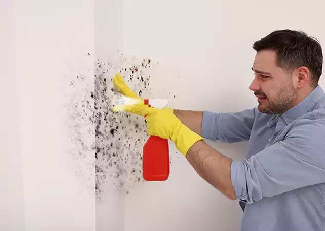 Your Water Mold Fire Restoration Partner in Redan, GA
