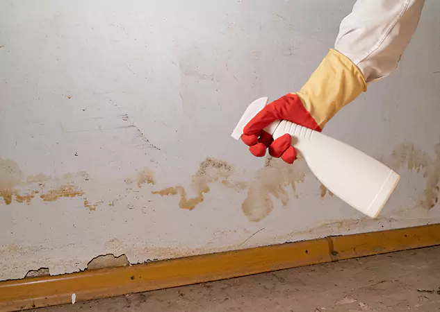 Your Water Restoration and Mold Remediation Specialists in Redan, GA