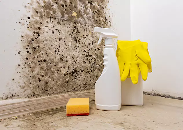 Your Reliable Restoration Company in Redan, GA