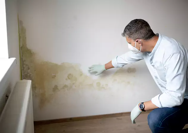 Reach Our Remediation Team Before Damage Grows in Redan, GA!