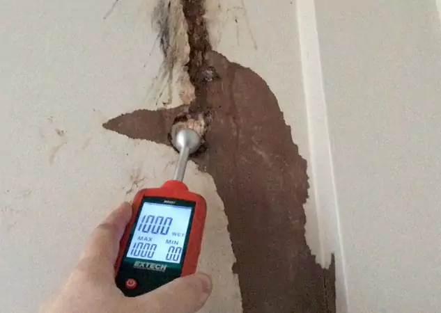 Your Water Damage Assessment Partner in Redan, GA