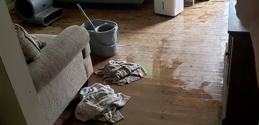 Professional Basement Water Remediation Services in Redan, GA