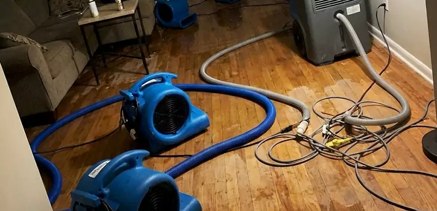 Basement Flood Restoration Services in Redan