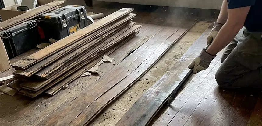 Wood Rot and Fungus Repair in Redan