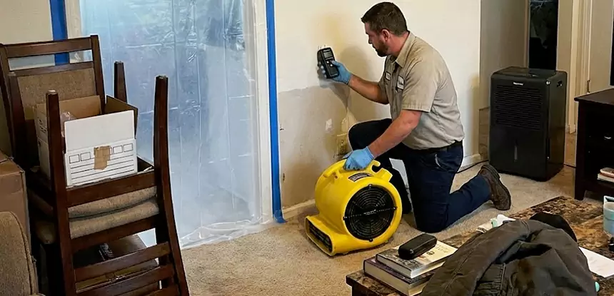 Carpet Water Damage Repair Redan