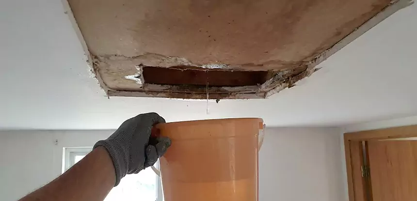 Ceiling Mold Repair Redan