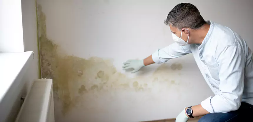 Mold and Water Damage Repair in Redan