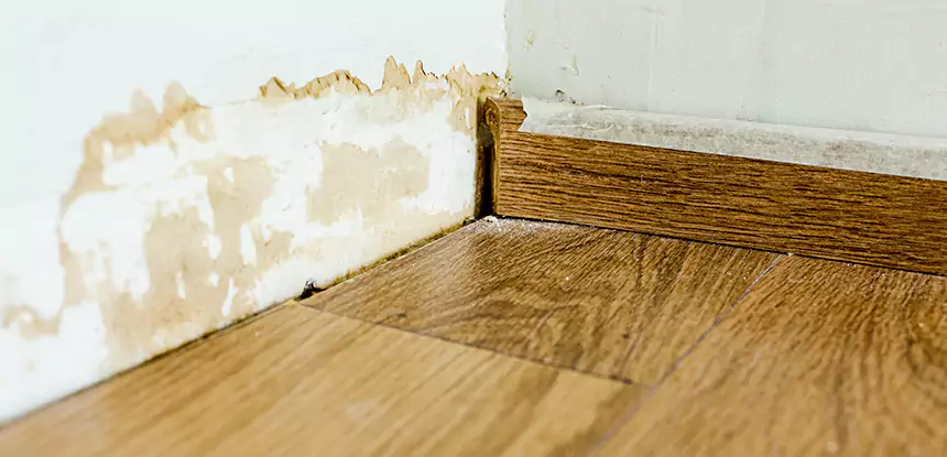 Professional Fix Water Damaged Wood Services in Redan, GA
