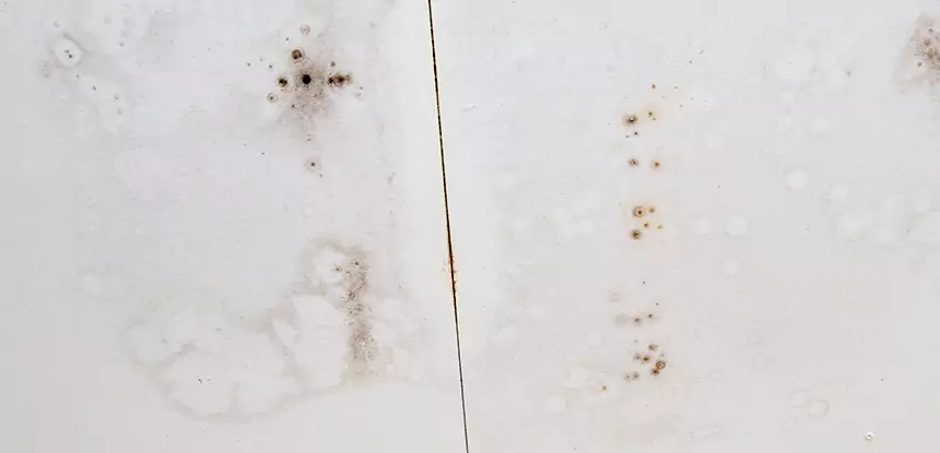 Professional Water Stain Repair Services in Redan, GA