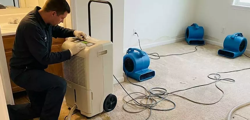 Professional Wet Carpet Removal Services in Redan, GA