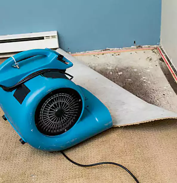 Why Redan Trusts Redan Restoration Pro for Carpet Flood Recovery?