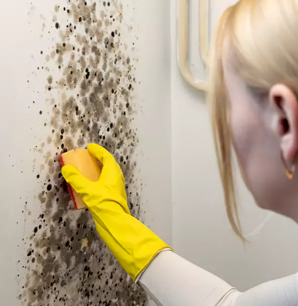 Why Redan Restoration Pro Leads Mold Remediation in Redan?