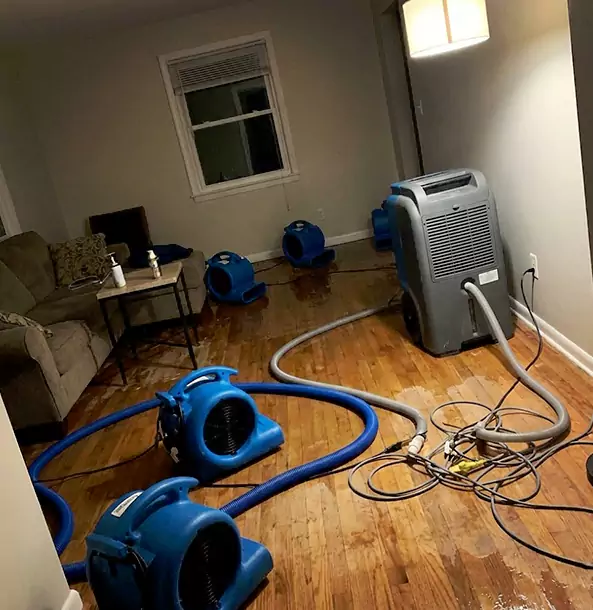 Why Redan Property Owners Rely on Redan Restoration Pro for Remediation?