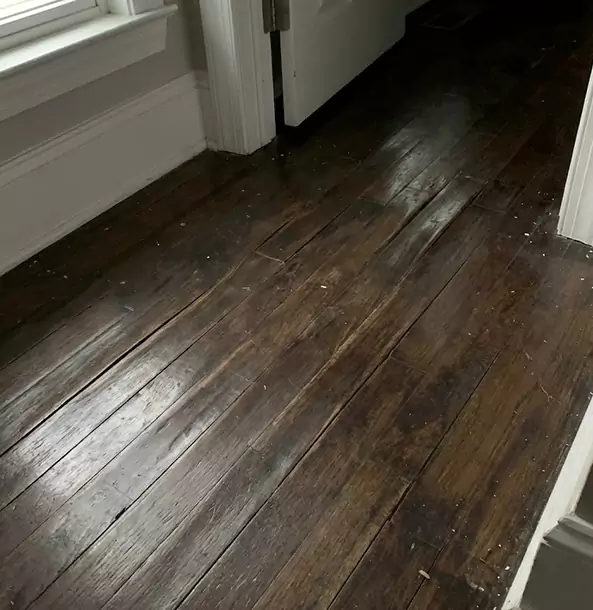 Why Redan Homeowners Trust Redan Restoration Pro to Fix Water Damaged Wood?