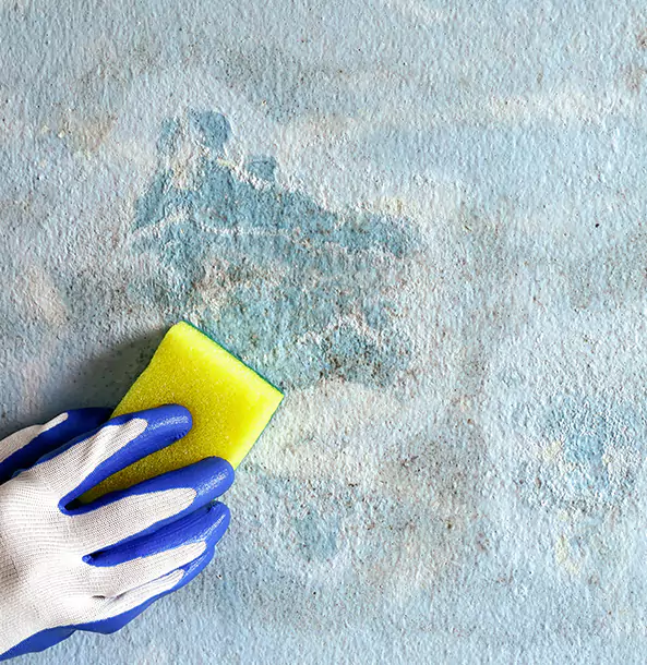 Why Redan Restoration Pro Is the Right Choice in Redan, GA?