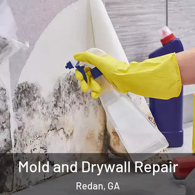  Mold and Drywall Repair Redan, GA