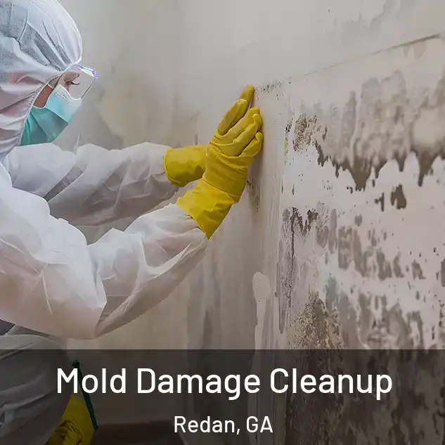  Mold Damage Cleanup Redan, GA