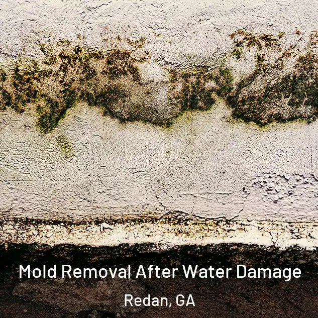  Mold Removal After Water Damage Redan, GA