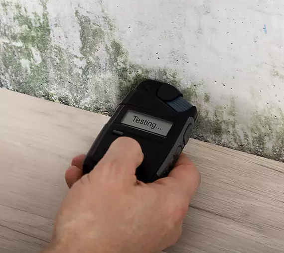Mold Remediation Service Redan